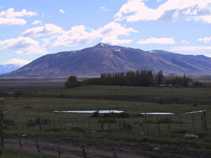 ar20011018-patagonia-4x4-03-treescape-s.jpg (15128 bytes)