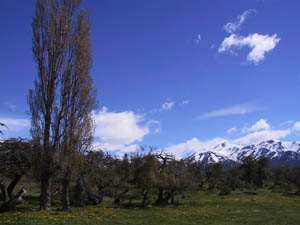 ar20011018-patagonia-4x4-08-bluesky-s.jpg (16695 bytes)