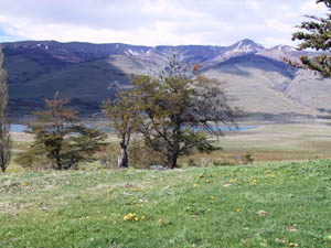 ar20011018-patagonia-4x4-09-scraggly-s.jpg (23184 bytes)