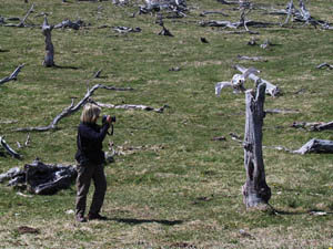 ar20011018-patagonia-4x4-15-skulltaker-s.jpg (27551 bytes)