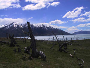 ar20011018-patagonia-4x4-18-watervictims-s.jpg (18666 bytes)